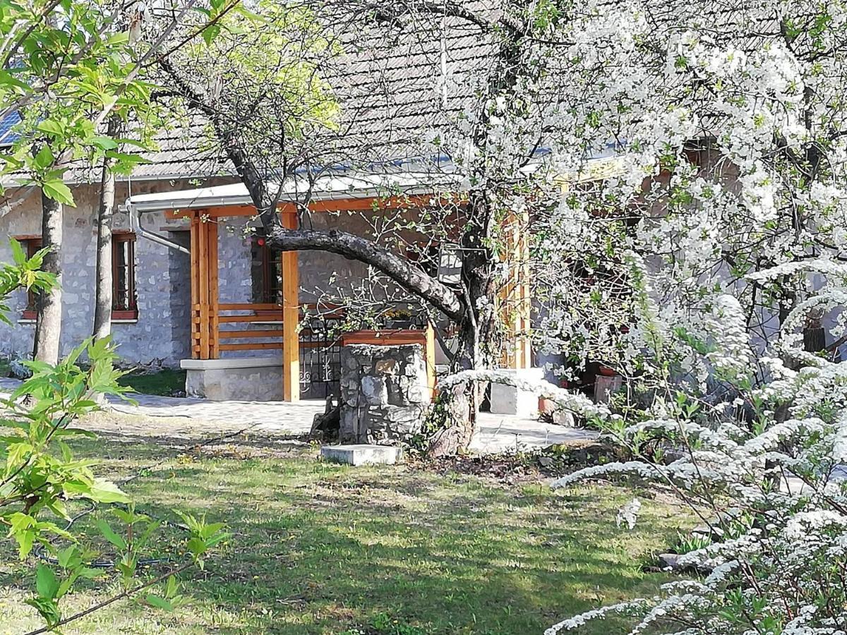 Apartment Karadi-berger Vendeghaz Erdobenye