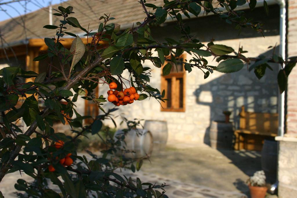 Apartment Karadi-berger Vendeghaz